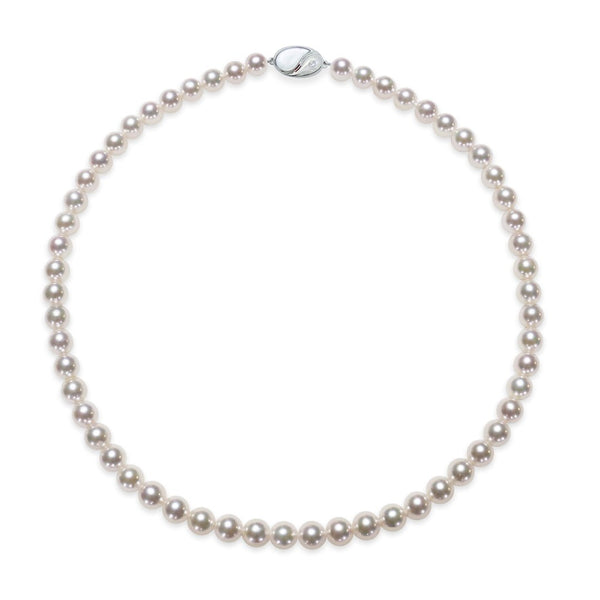 7.0 ～7.5㎜　テリ：B　巻き：B　キズ：B - Tensei Pearl Online Store　天成真珠　公式通販ショップ