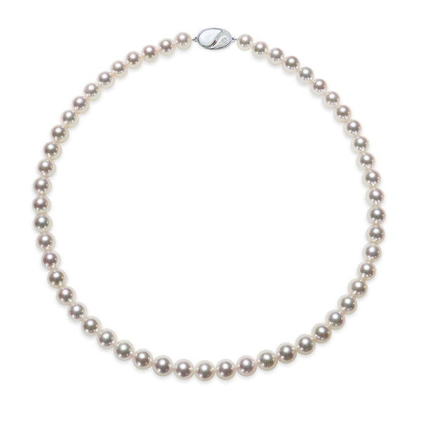 7.5～8.0㎜　テリ：A　巻き：A　キズ：C - Tensei Pearl Online Store　天成真珠　公式通販ショップ