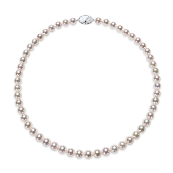 7.5～8.0㎜　テリ：B　巻き：A　キズ：C - Tensei Pearl Online Store　天成真珠　公式通販ショップ