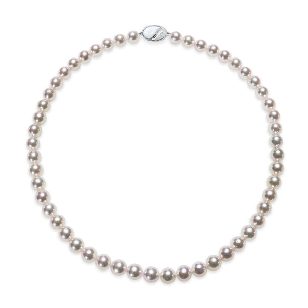 7.5～8.0㎜　テリ：B　巻き：B　キズ：C - Tensei Pearl Online Store　天成真珠　公式通販ショップ