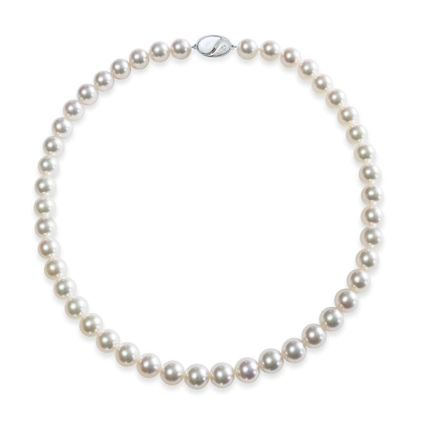 8.0～8.5㎜　テリ：B　巻き：A　キズ：C - Tensei Pearl Online Store　天成真珠　公式通販ショップ