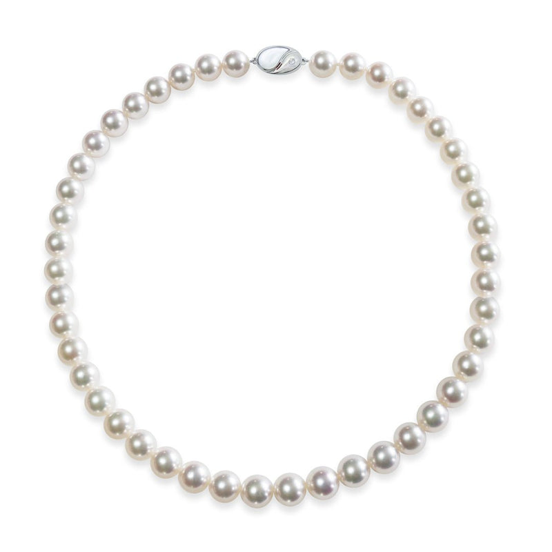 8.0～8.5㎜　テリ：B　巻き：A　キズ：C - Tensei Pearl Online Store　天成真珠　公式通販ショップ