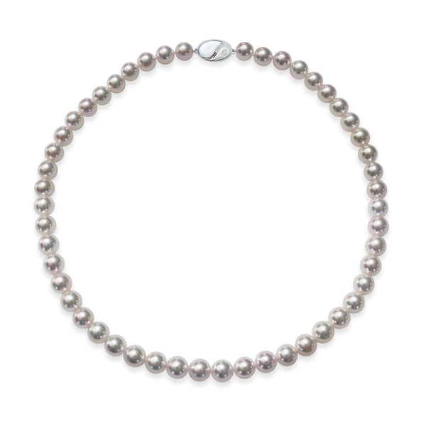 8.0～8.5㎜　テリ：B　巻き：B　キズ：B - Tensei Pearl Online Store　天成真珠　公式通販ショップ