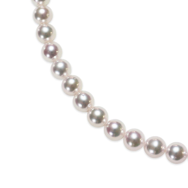 7.5～8.0㎜　テリ：B　巻き：B　キズ：C - Tensei Pearl Online Store　天成真珠　公式通販ショップ