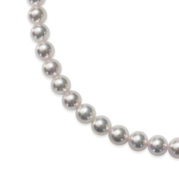 8.0～8.5㎜ Earrings or Earring Set Teri: B Volume: B Kizu: B -Tensei Pearl Online Store Tenari Pearl Official Mail Order Shop